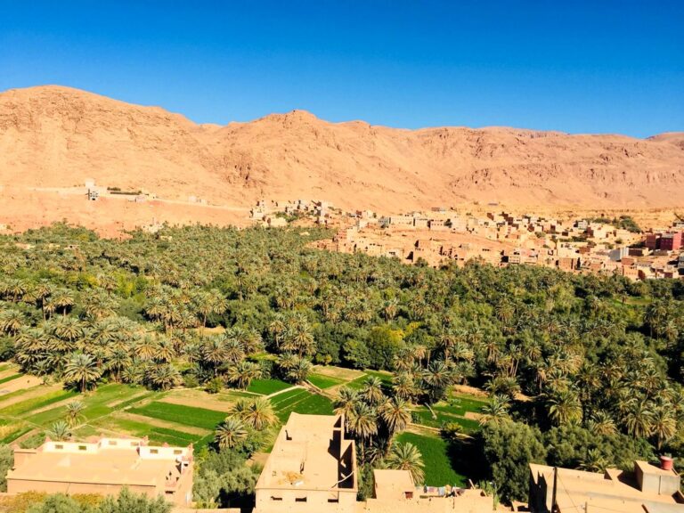 Date palm oasis and earthen village in southern Morocco