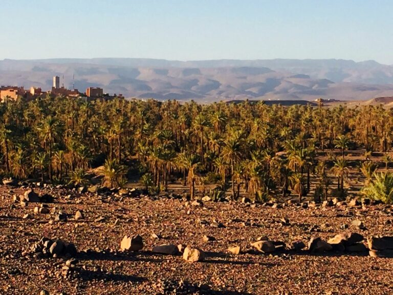 Date palm oasis and earthen village in southern Morocco