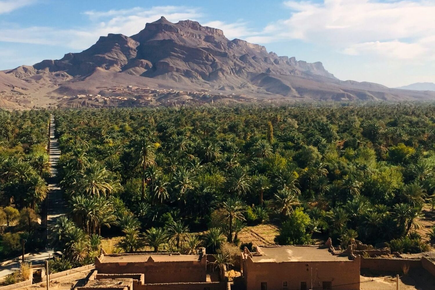 Date palm oasis and earthen village in southern Morocco