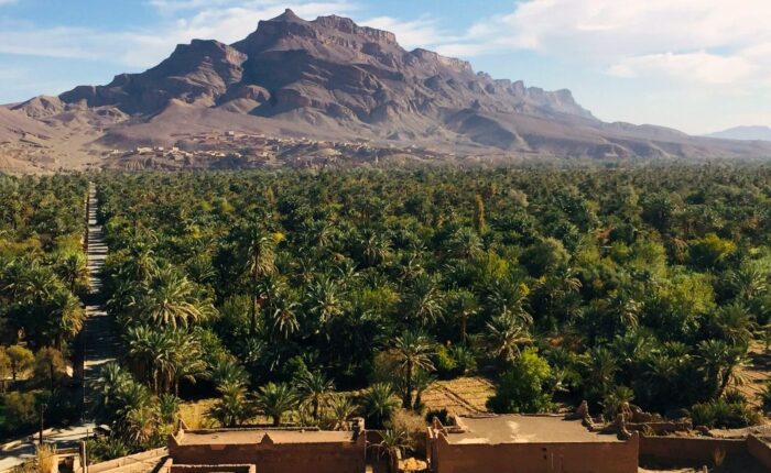 Date palm oasis and earthen village in southern Morocco