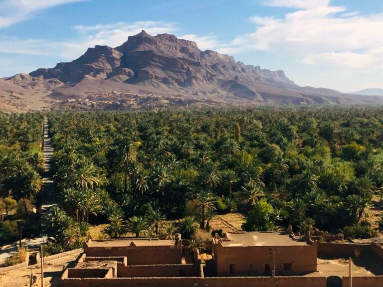 Date palm oasis and earthen village in southern Morocco