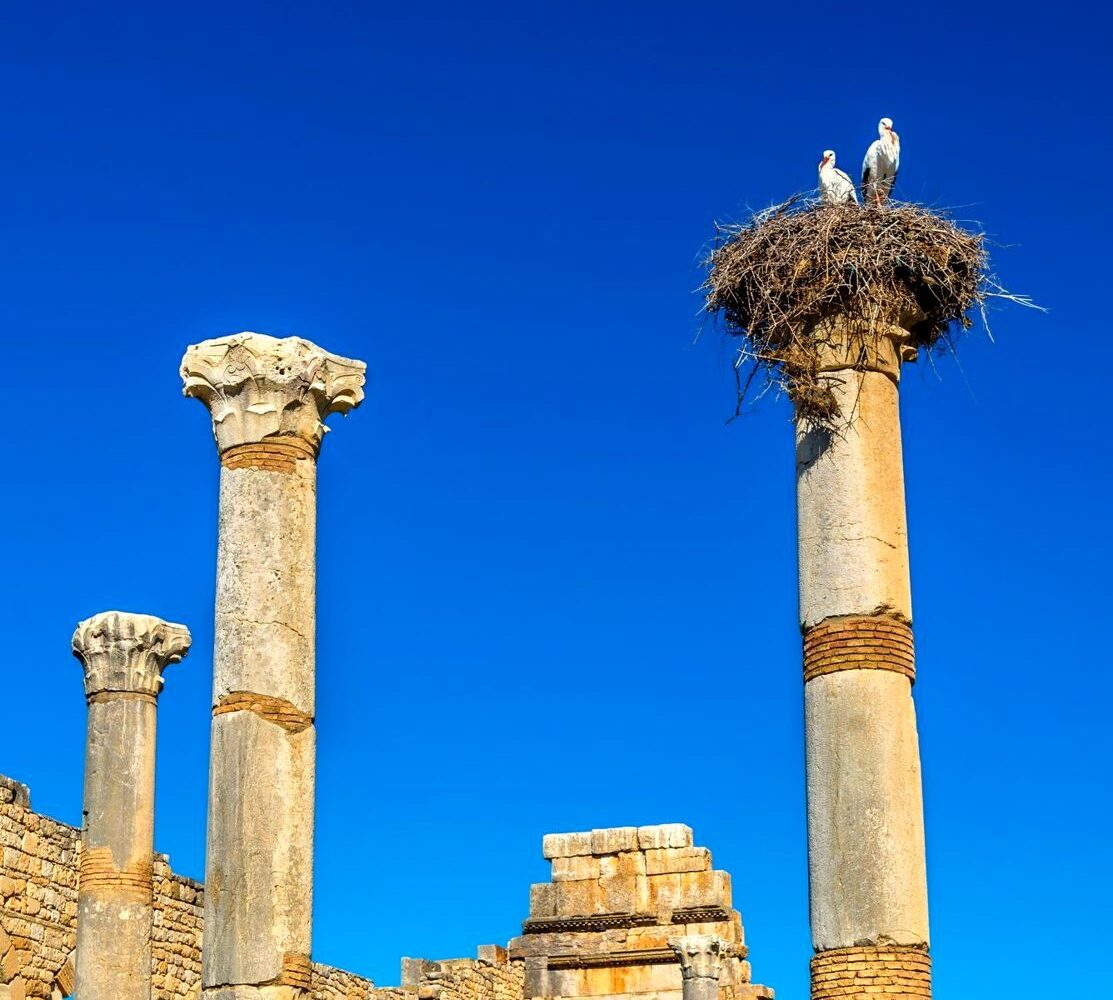 Roman ruins of Volubilis near Meknes, Morocco