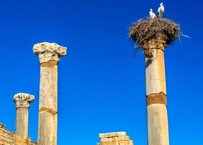 Roman ruins of Volubilis near Meknes, Morocco